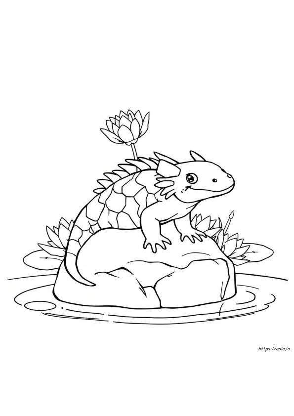 Di Che Colore Possono Essere Gli Axolotl