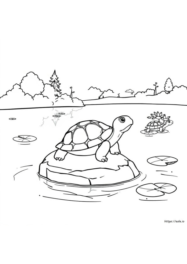 Turtle Coloring Pages For Kids