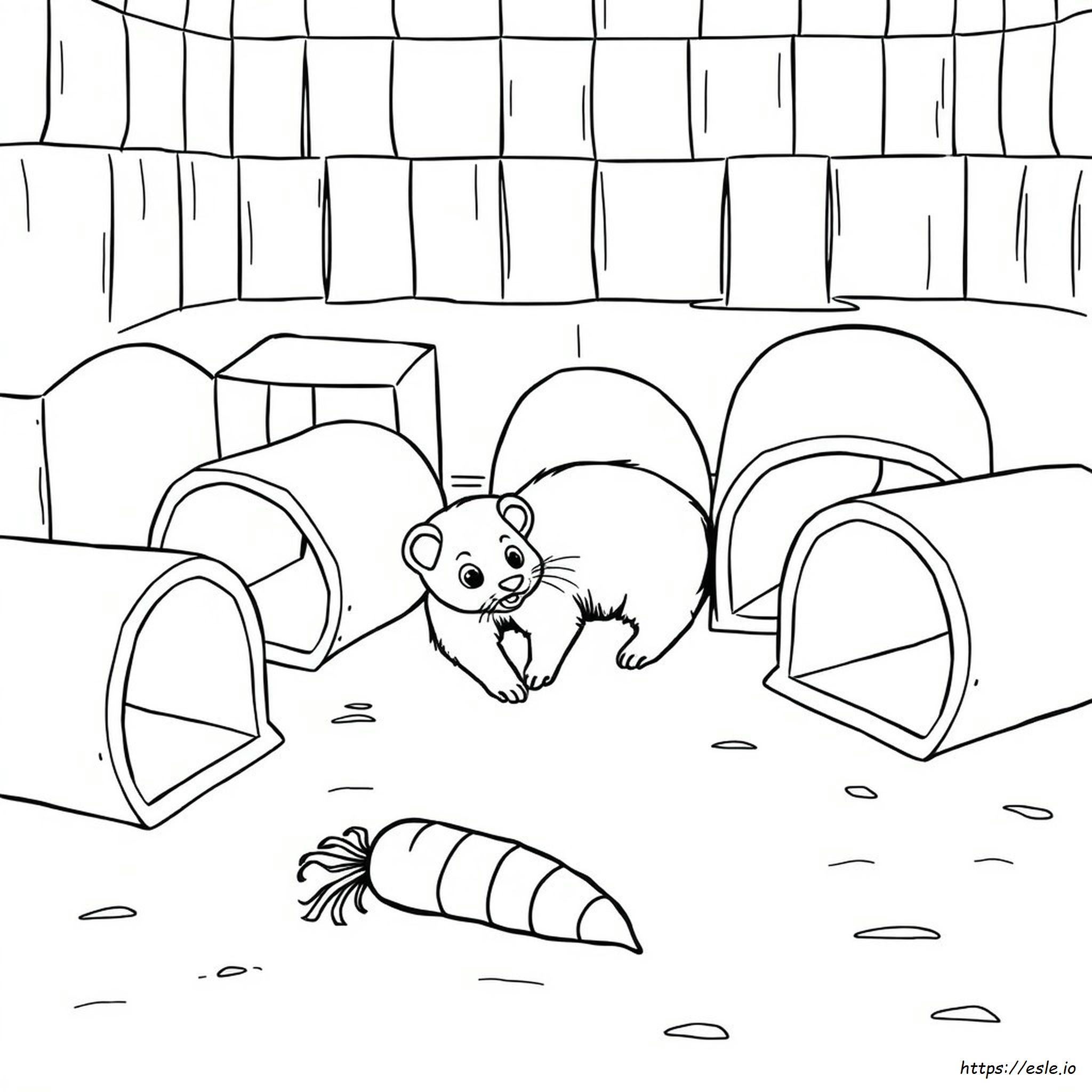 Are Ferrets Color Blind