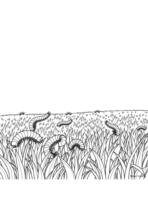Centipede Coloring