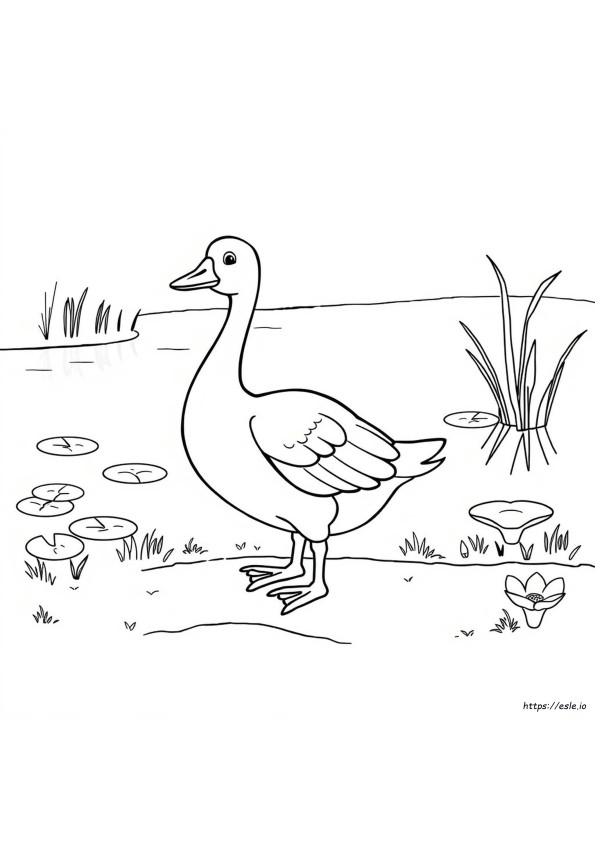 Coloriage Oie