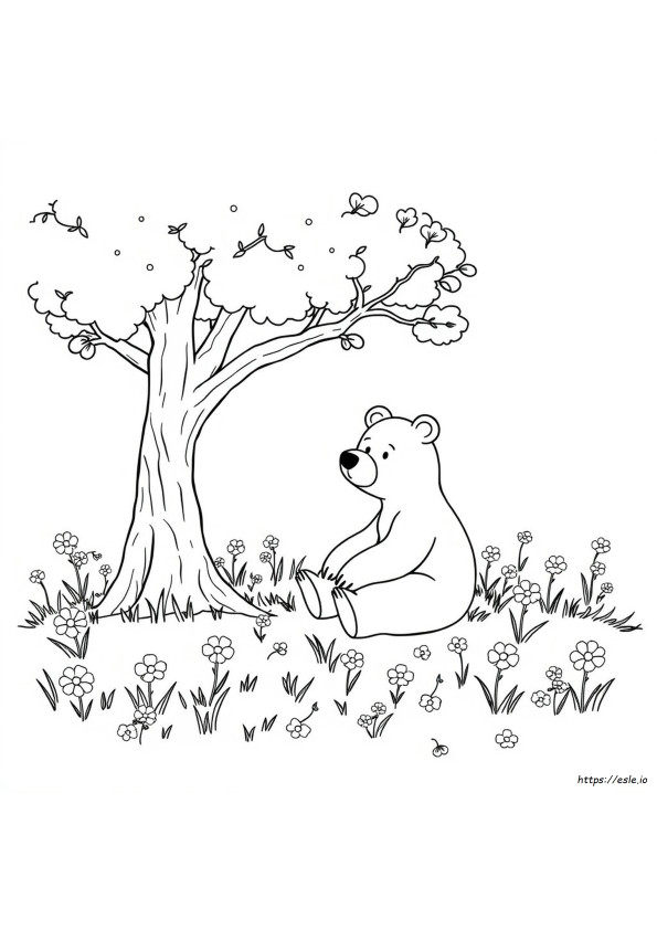 Orso Da Colorare Gratis
