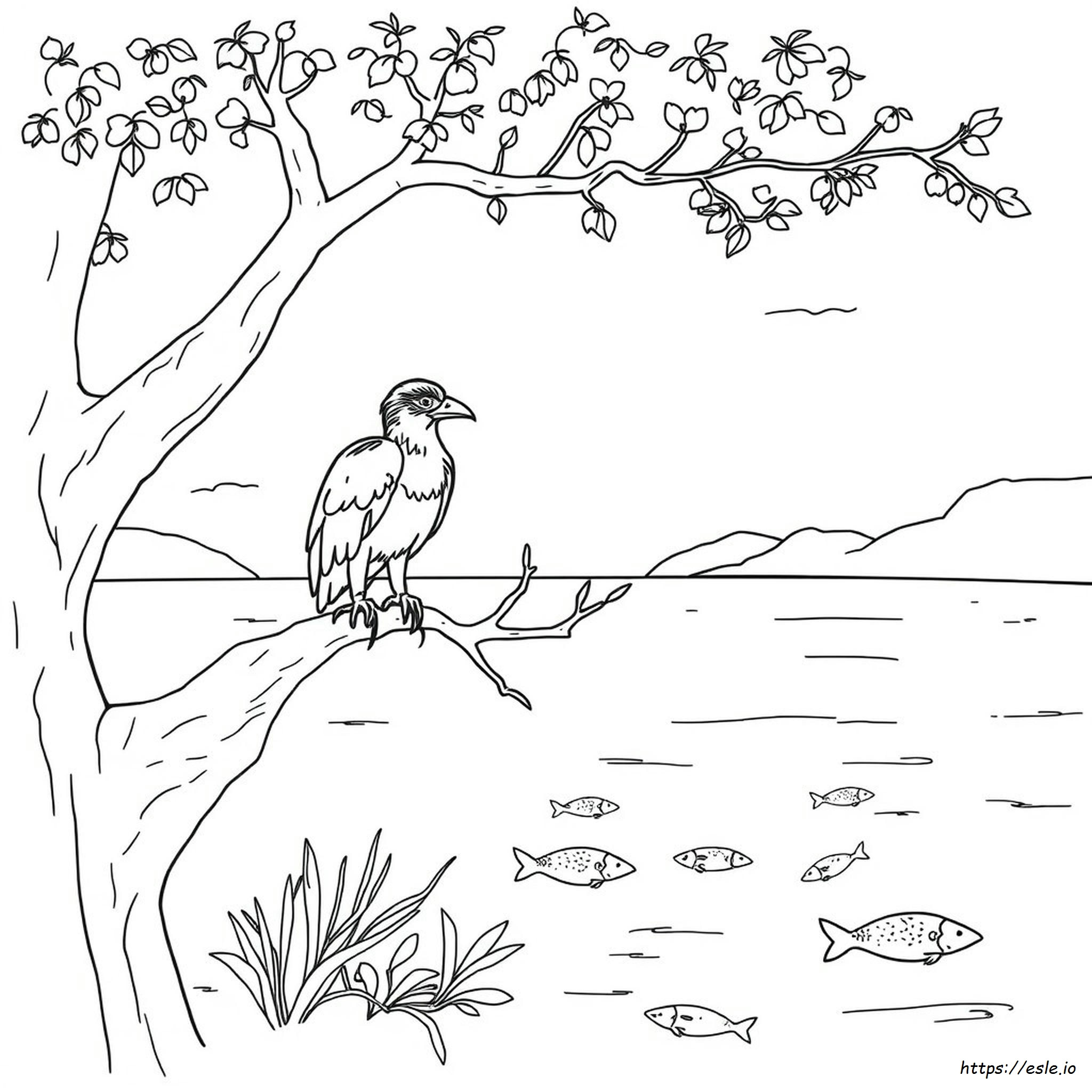 Osprey Coloring