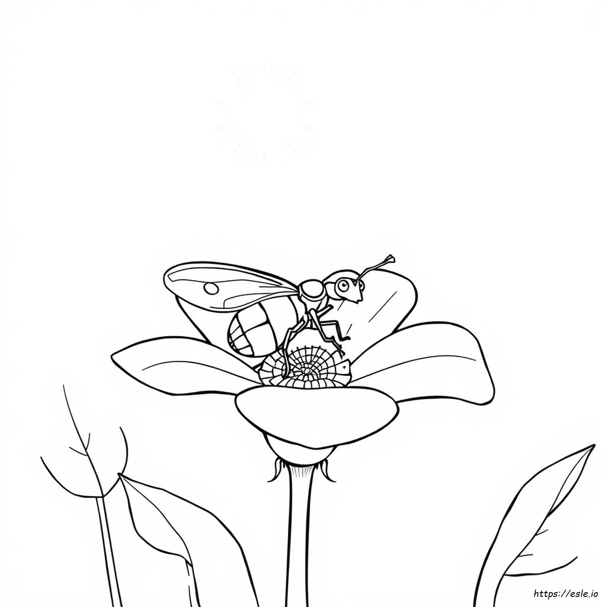 Free Insect Coloring Pages For Preschoolers