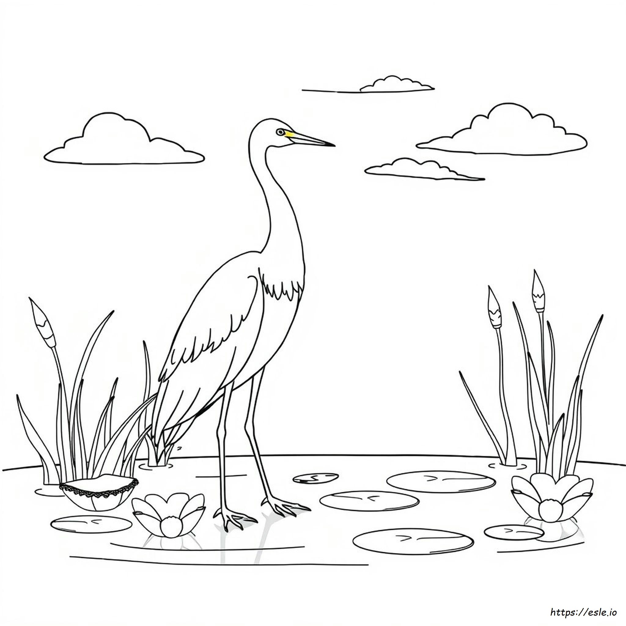Seperti Apa Warna Egret Itu