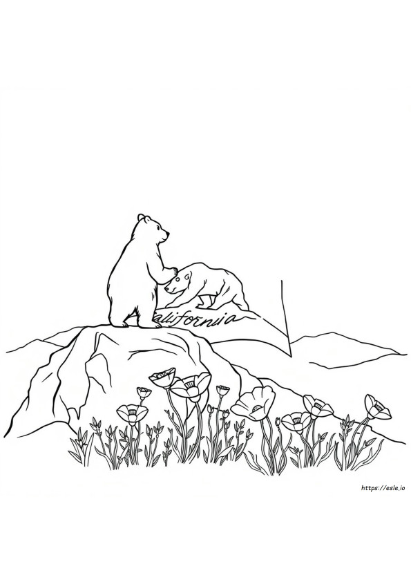 Coloriages Ours De Californie