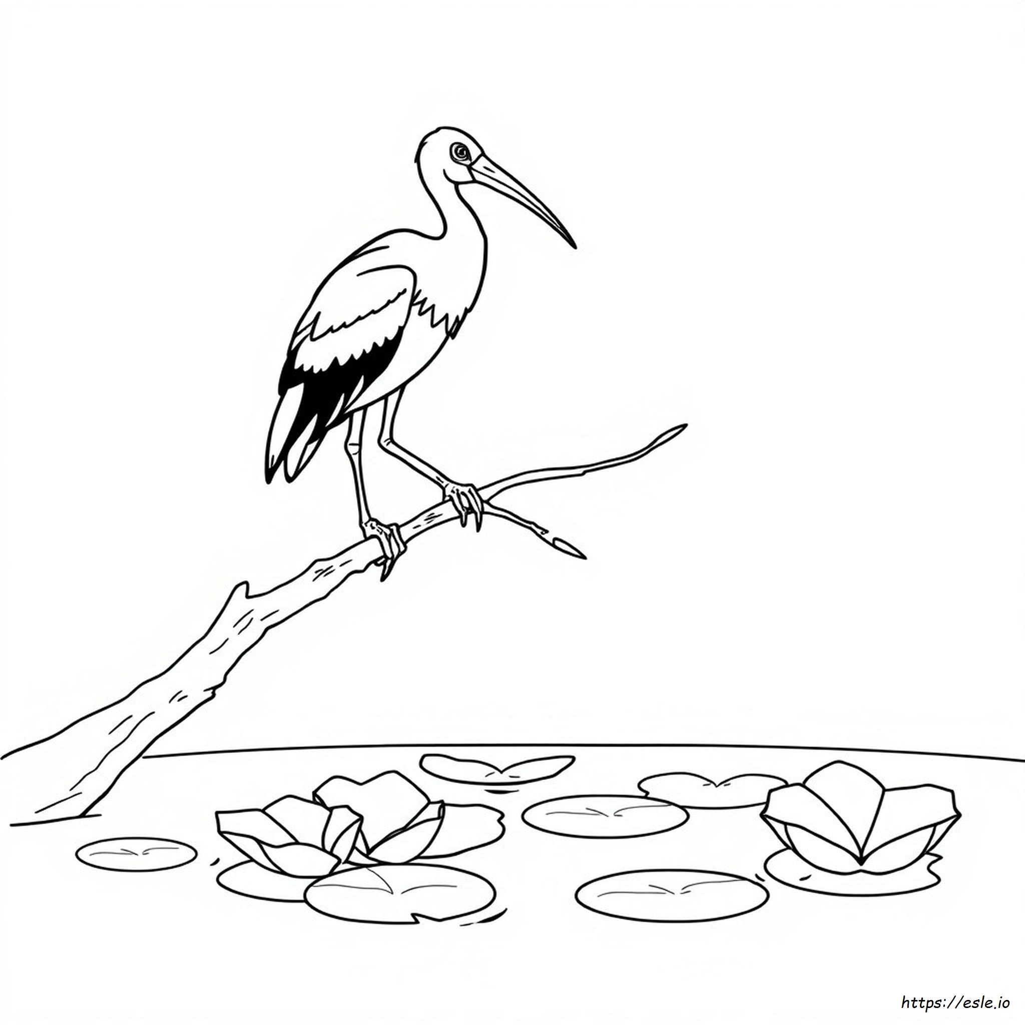 Scarlet Ibis Colouring Page