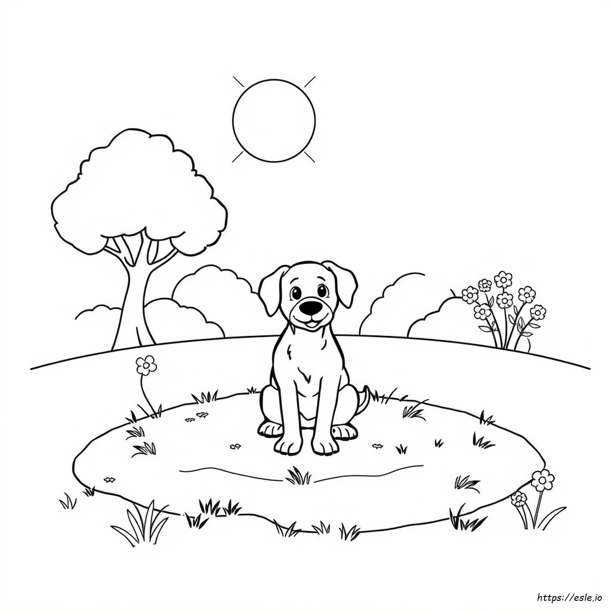 Dog Coloring Pages To Print