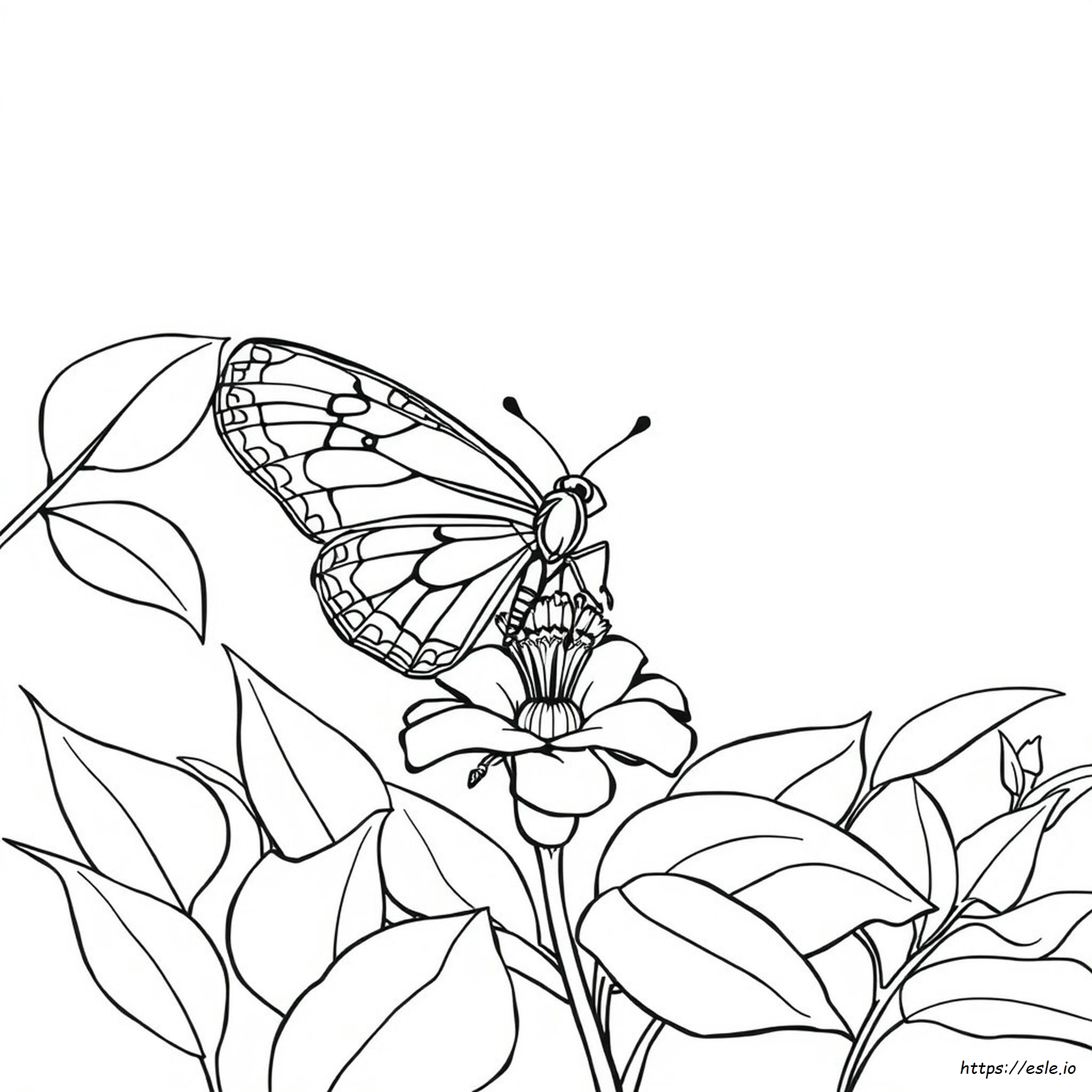 Painted Lady Butterfly Coloring Page