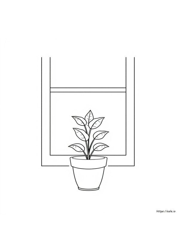 Aesthetic Plant Coloring Pages