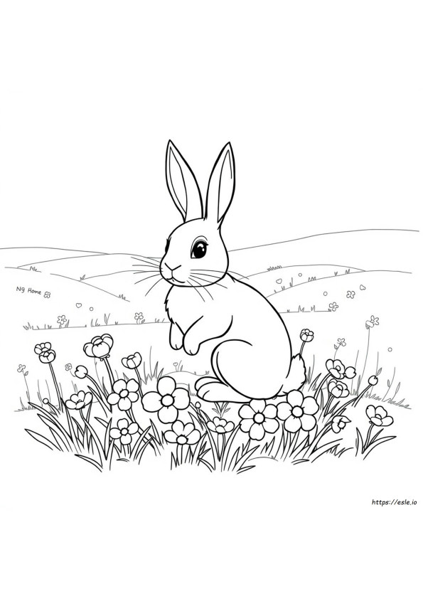 Colouring Pages Of Rabbit