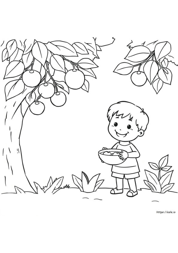 Kindergarten Preschool Fruits Coloring Pages