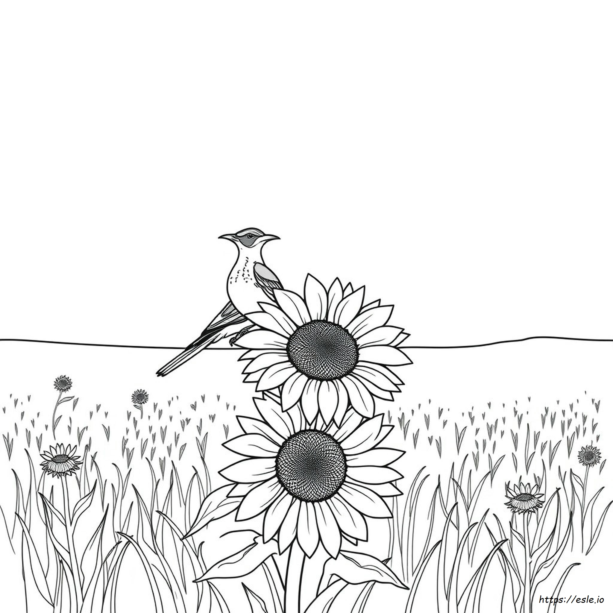 Western Meadowlark Coloring Page