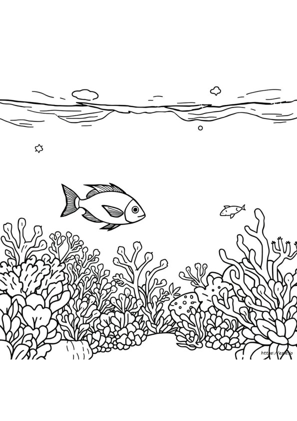 How To Color Underwater