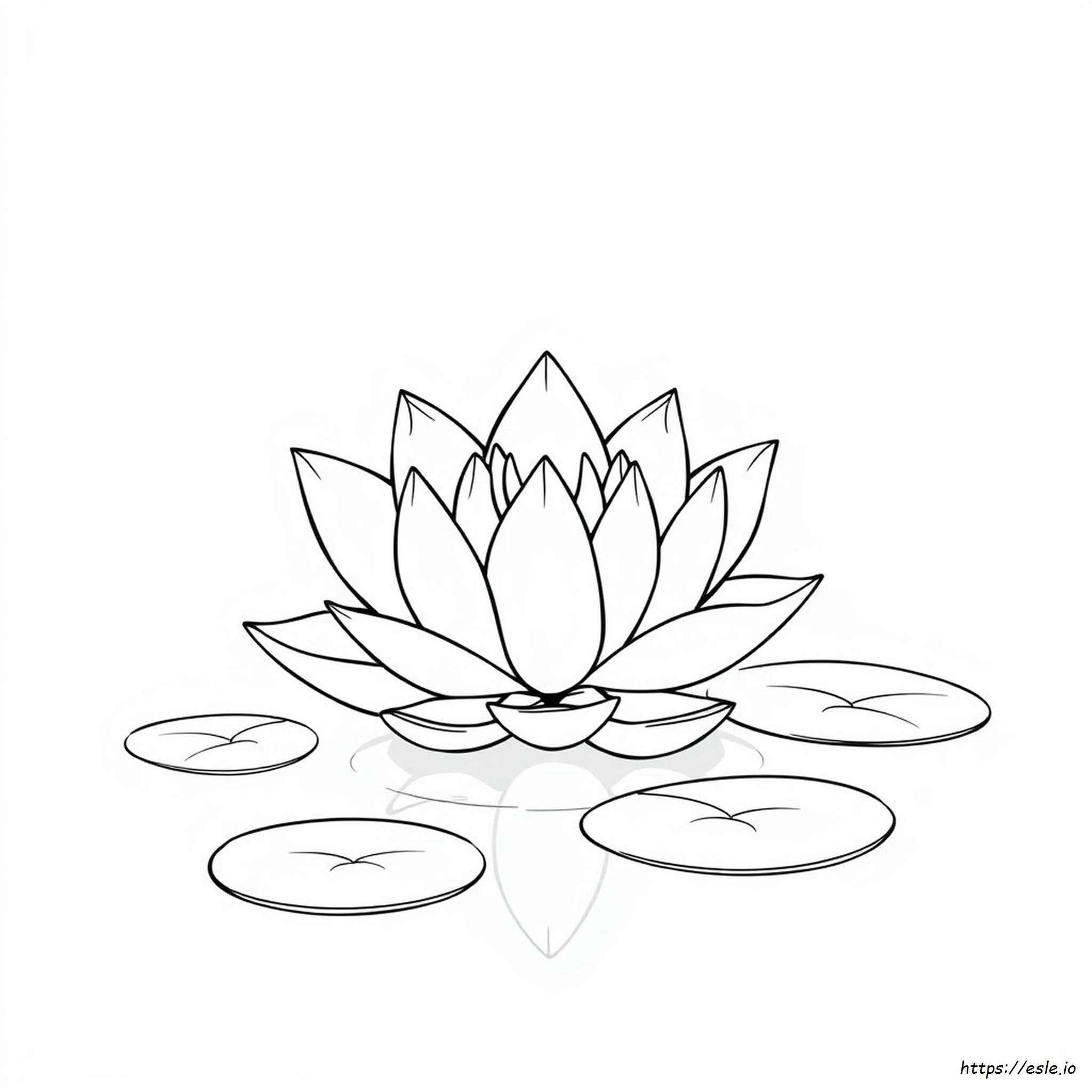 Lotus Picture For Colouring
