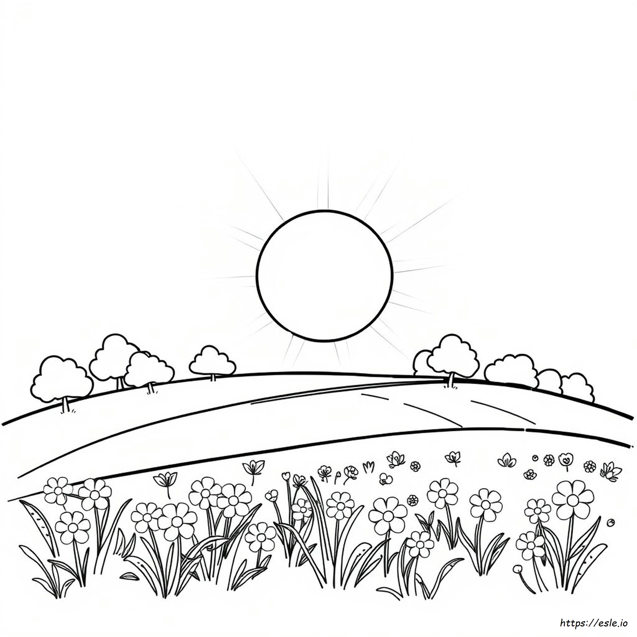 Coloring Page Of Sunshine