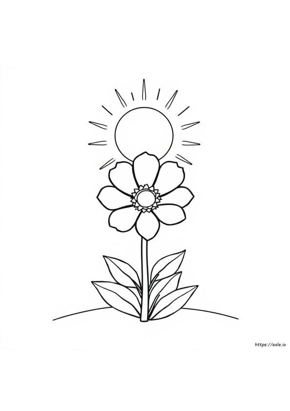 Sonne Und Blume Ausmalbilder