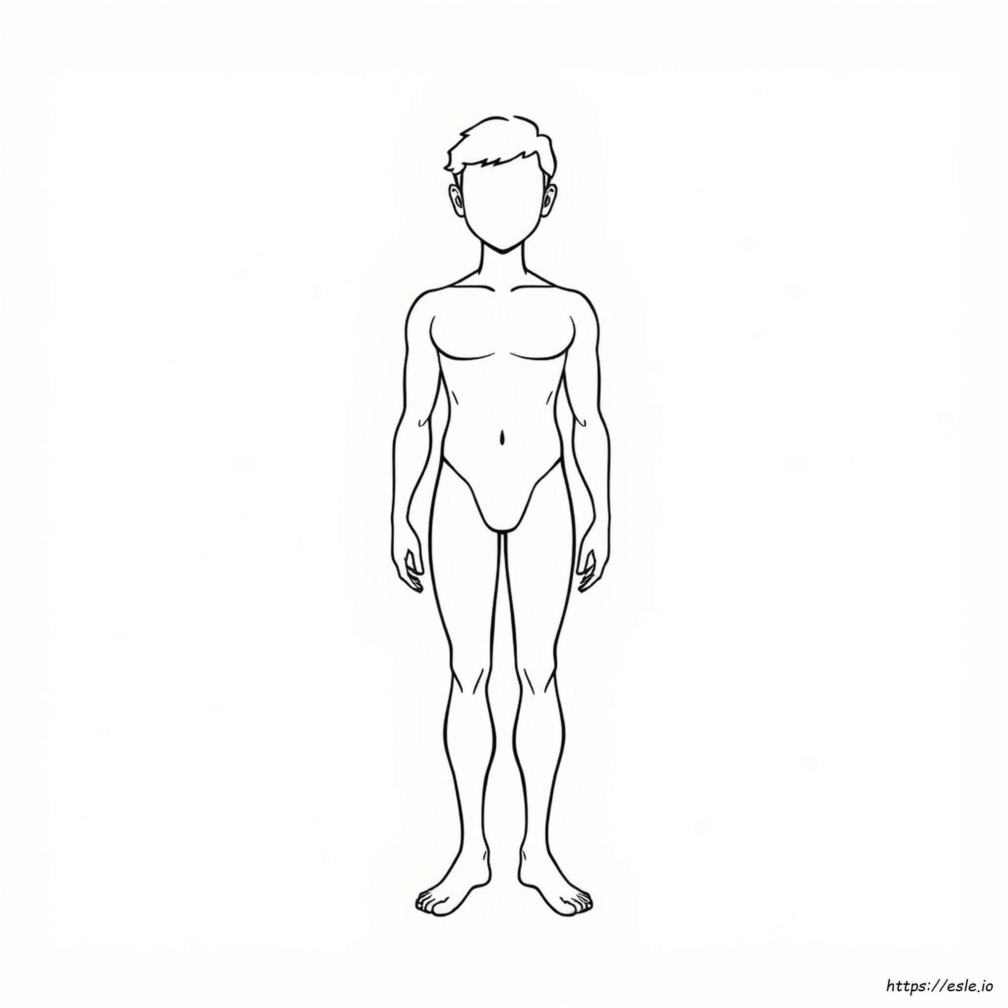Human Body Coloring Page