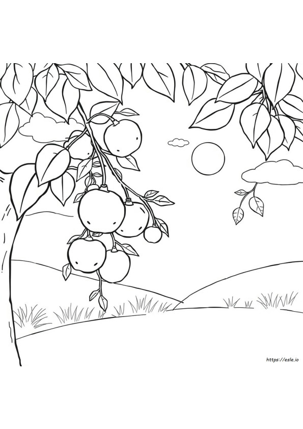 Fruits For Coloring Pages