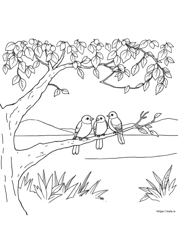 Coloriages À Imprimer Oiseaux