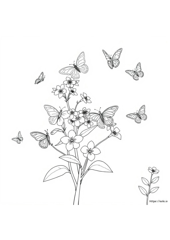 Boddle Coloring Pages