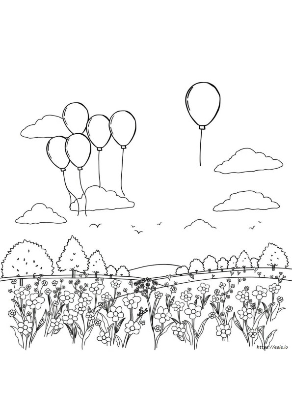 Colouring Pictures