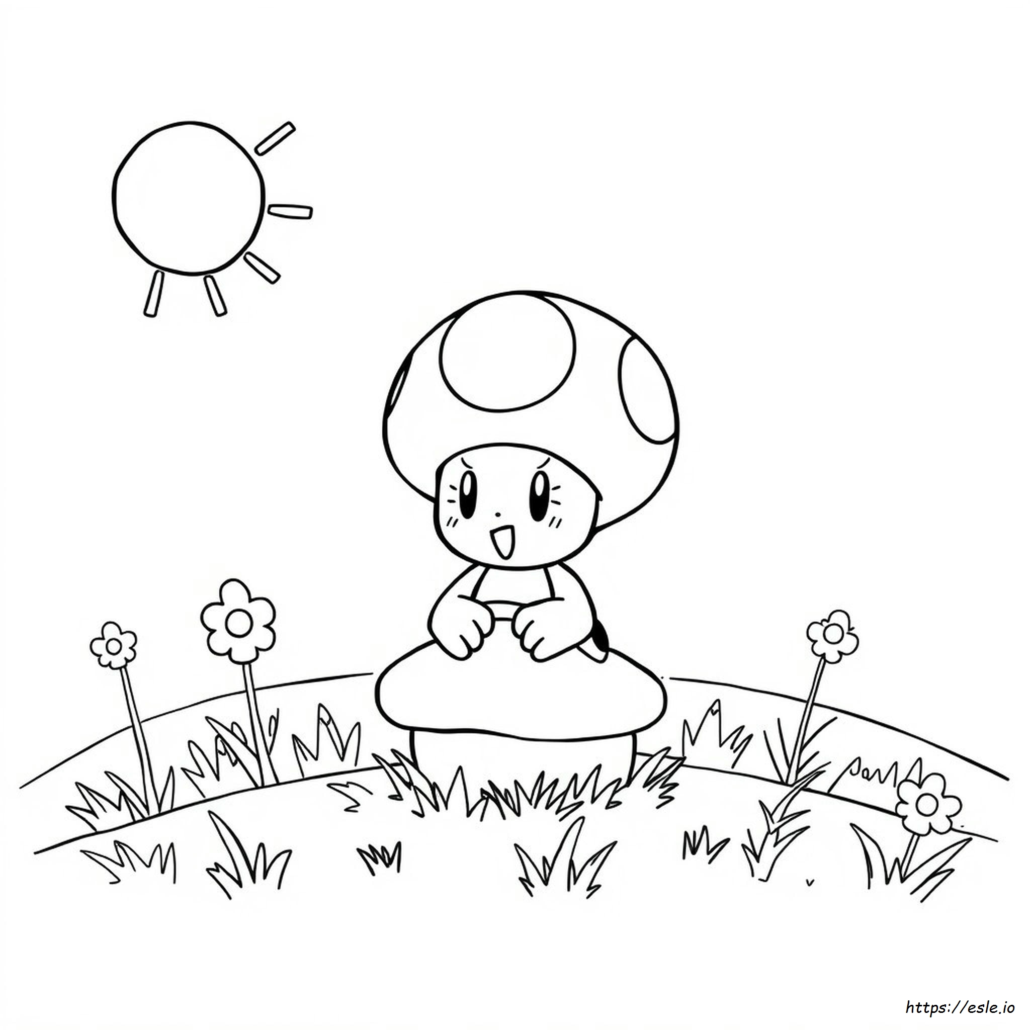 Paper Mario Toad Coloring Pages