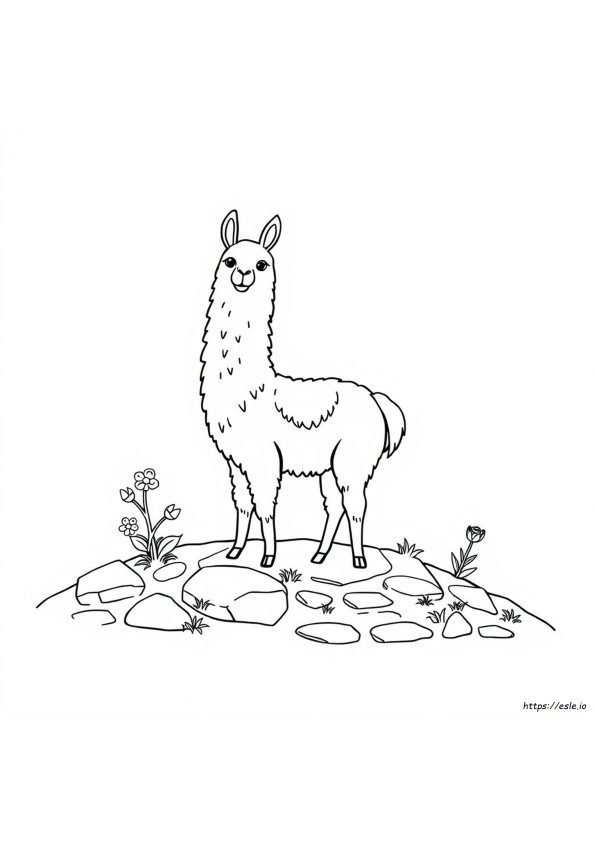Lhama Para Colorir