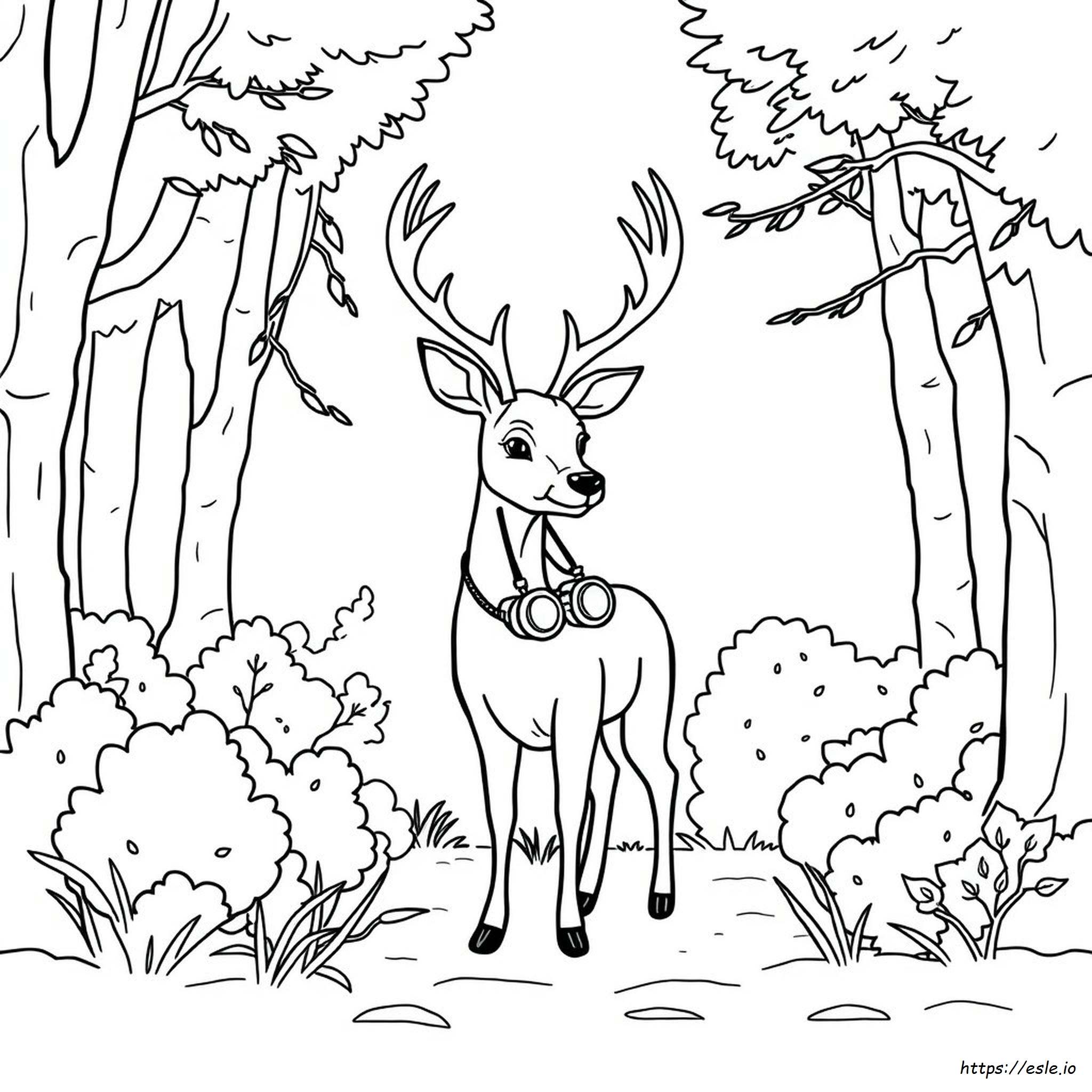 Gambar Mewarnai Berburu Rusa Yang Dapat Dicetak