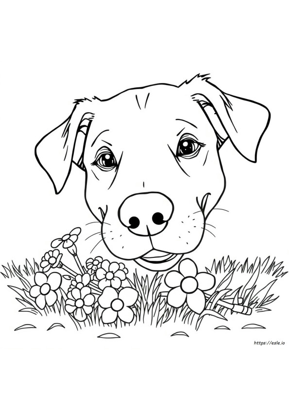 Nose Coloring Picture