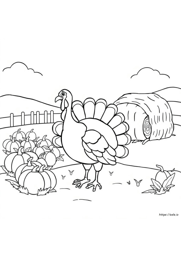Coloriage Dinde