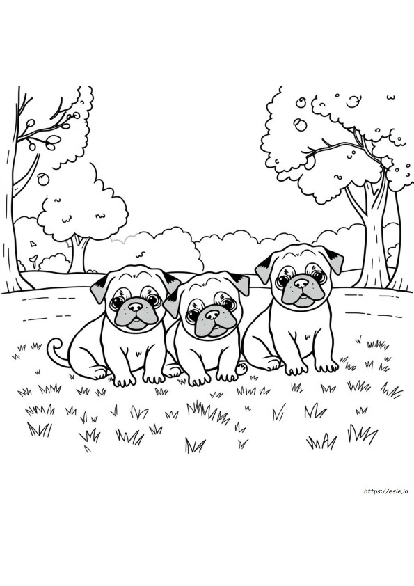 Coloring Pages Of Pug Puppies