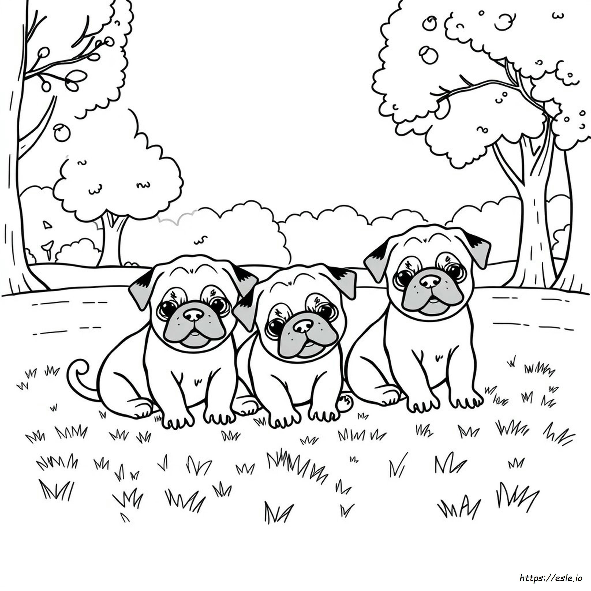 Pagina Da Colorare Di Cuccioli Di Carlini