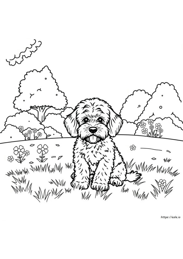 Cockapoo Boyama Sayfası