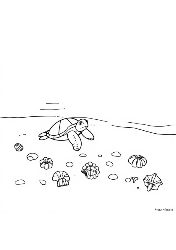 Beach Coloring Pictures Printable