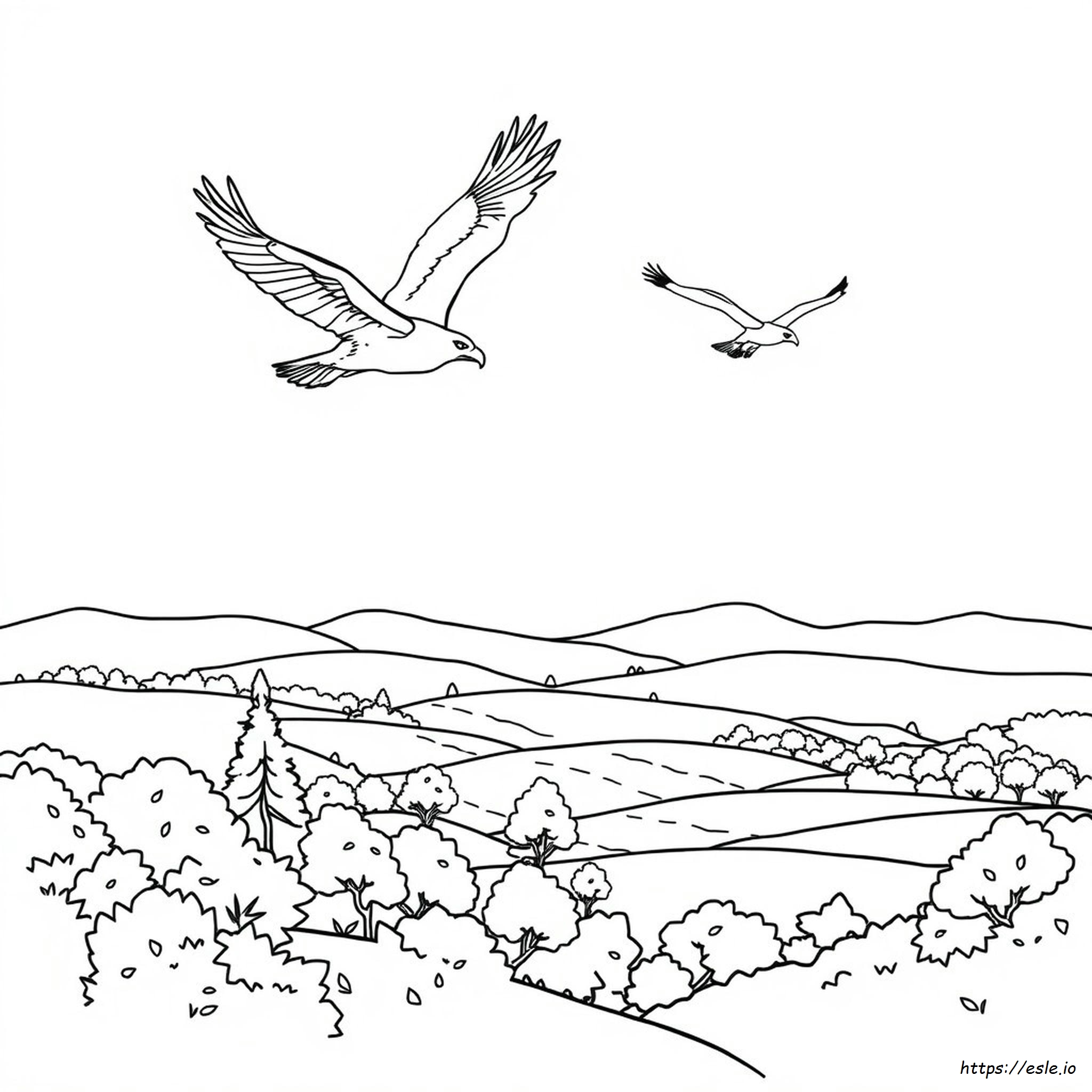 Kostenlose Adler Ausmalbilder Zum Ausdrucken