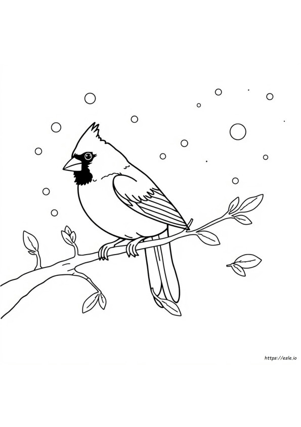 Coloriage D'un Cardinal