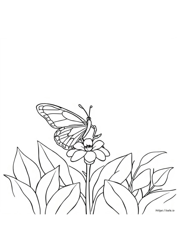 Mariposa Para Colorear