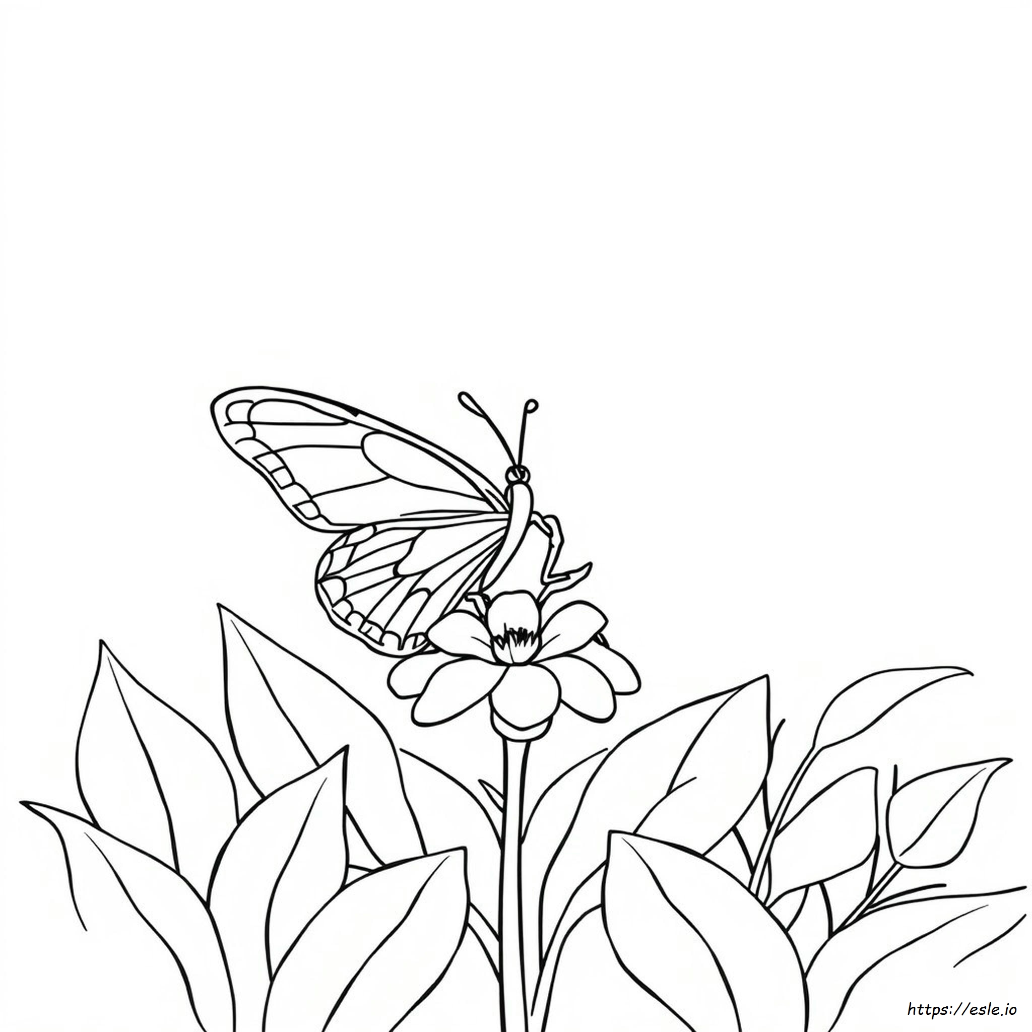 Colouring In Butterfly