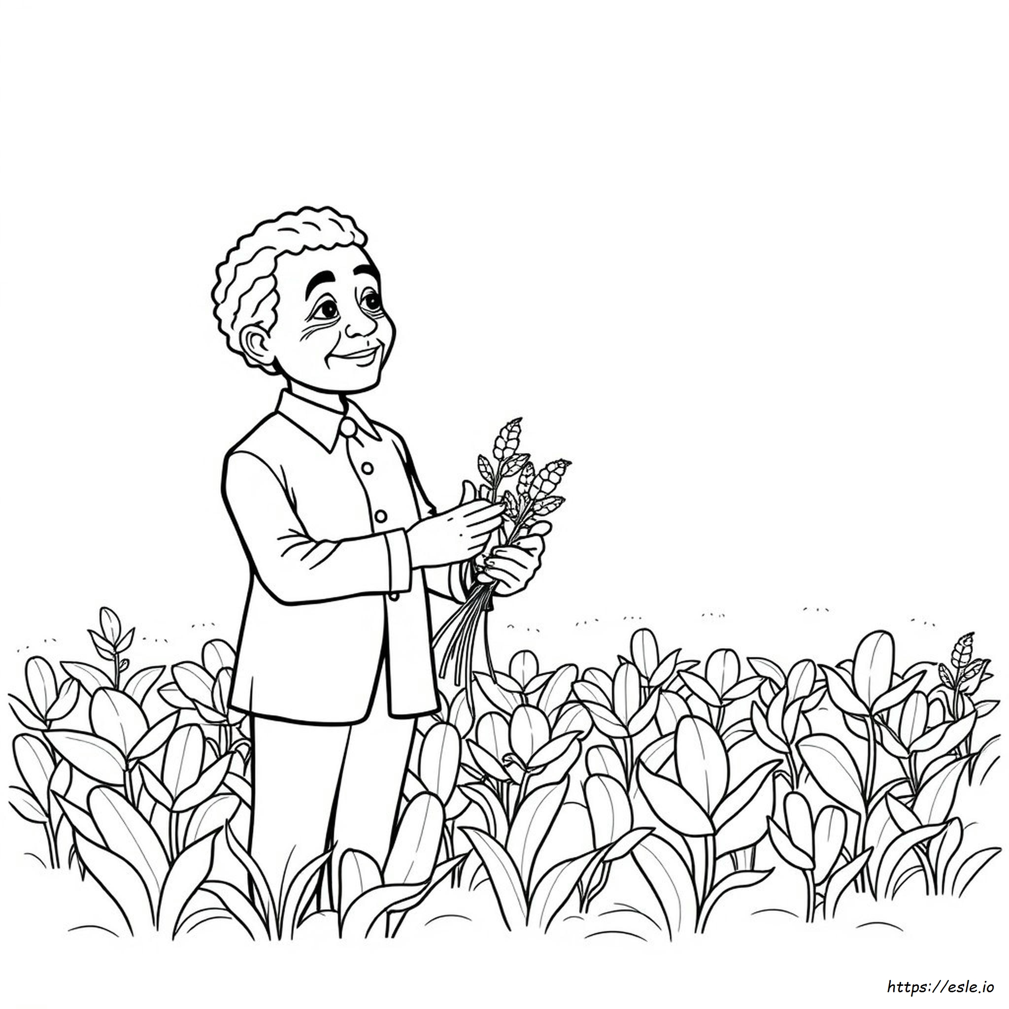 George Washington Carver Coloring