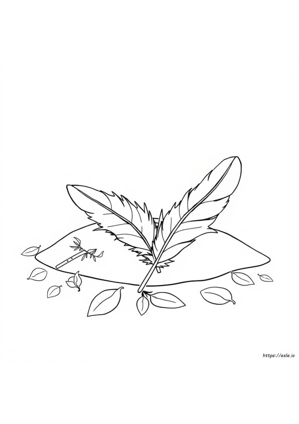 Coloring Pictures Of Feathers