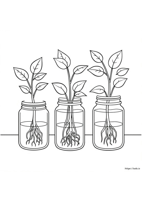 Hoe Planten Te Verven Met Voedselkleurstof