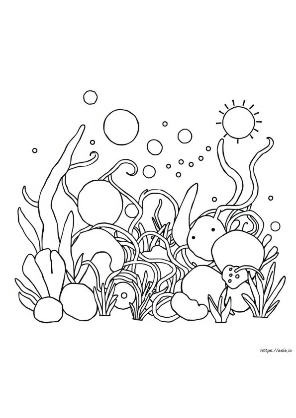Crazy Colouring
