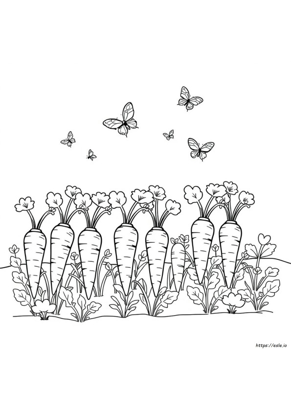 Colouring Pages Of Vegetables