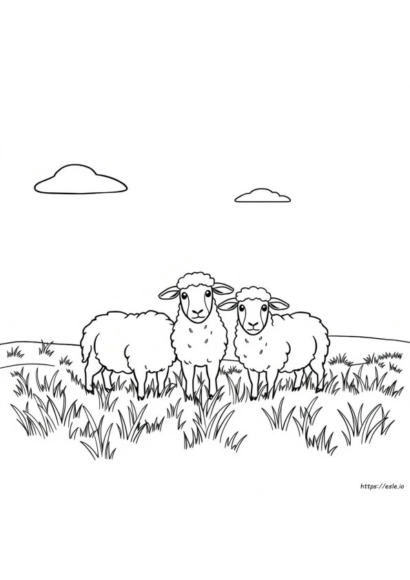 Printable Sheep Colouring