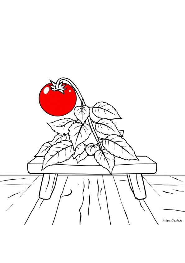 Tomato Colouring Images