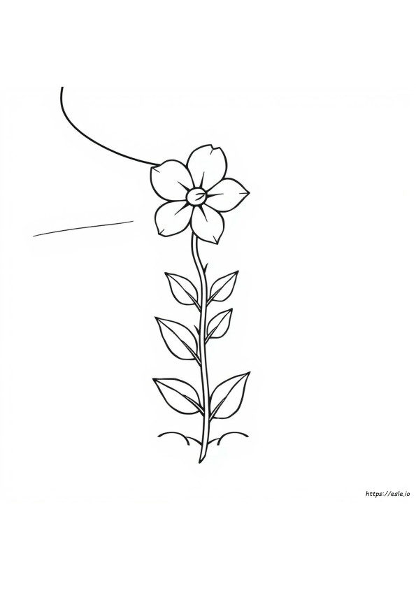 Blumen Tattoo Ausmalbilder