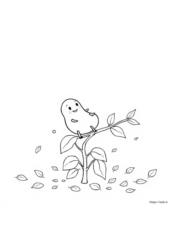 Bean Coloring
