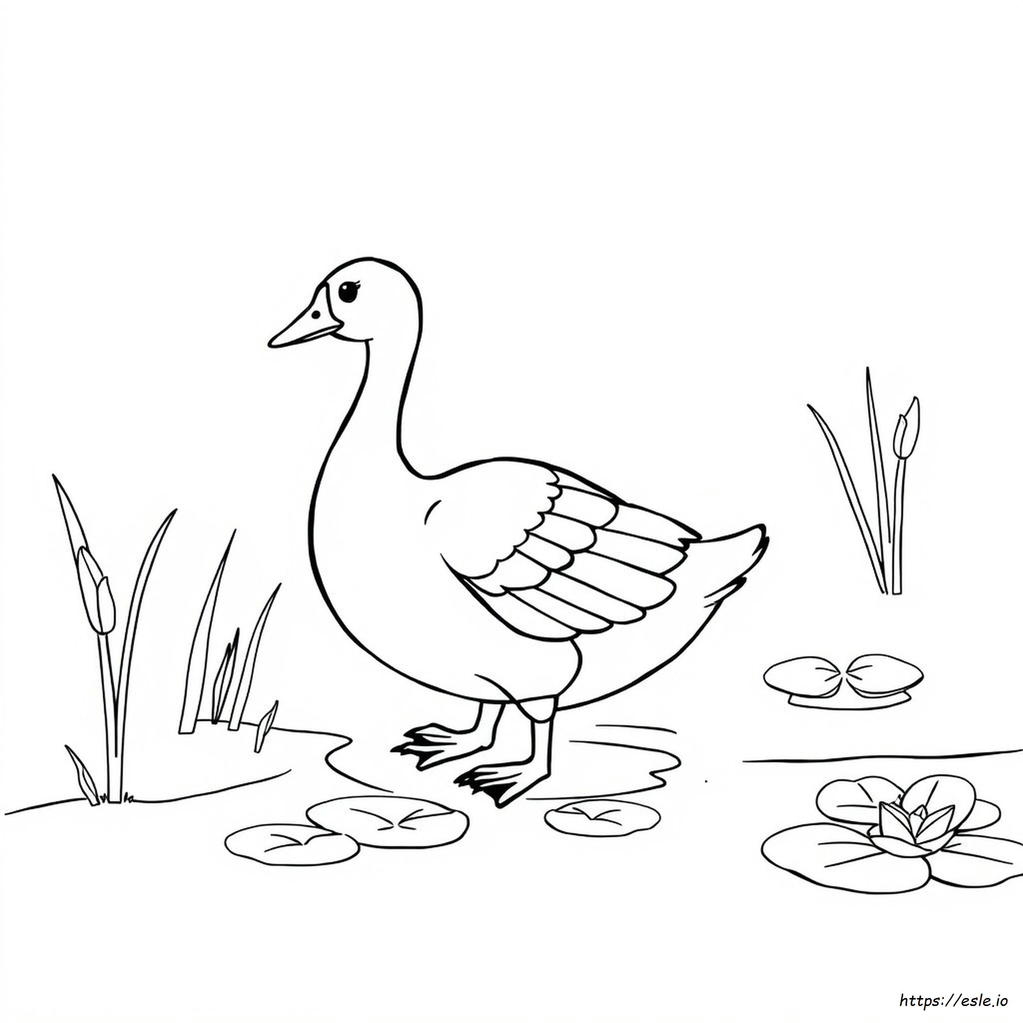 ガチョウ ぬりえ
