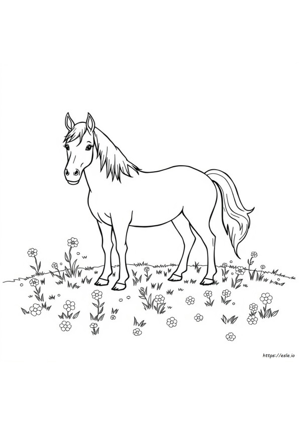 Coloring Sheet Of A Horse